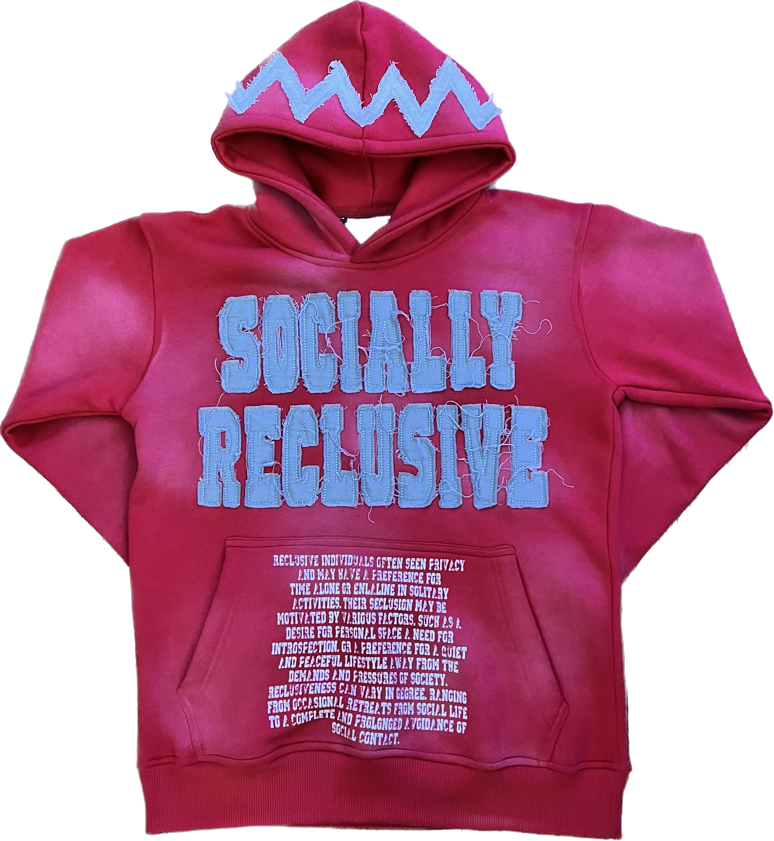 DEFINITION HOODIE(red)