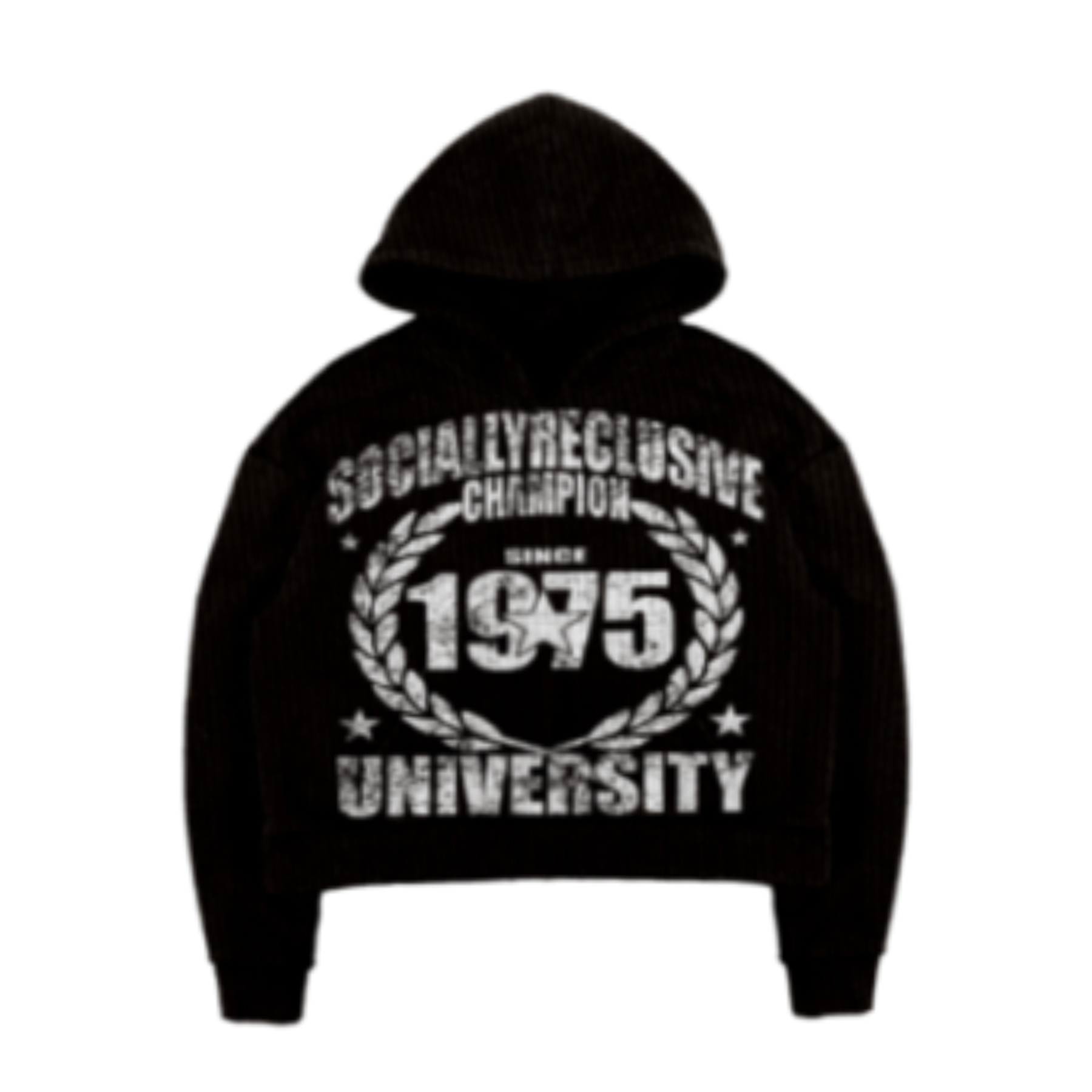 1975 HOODIE (black)