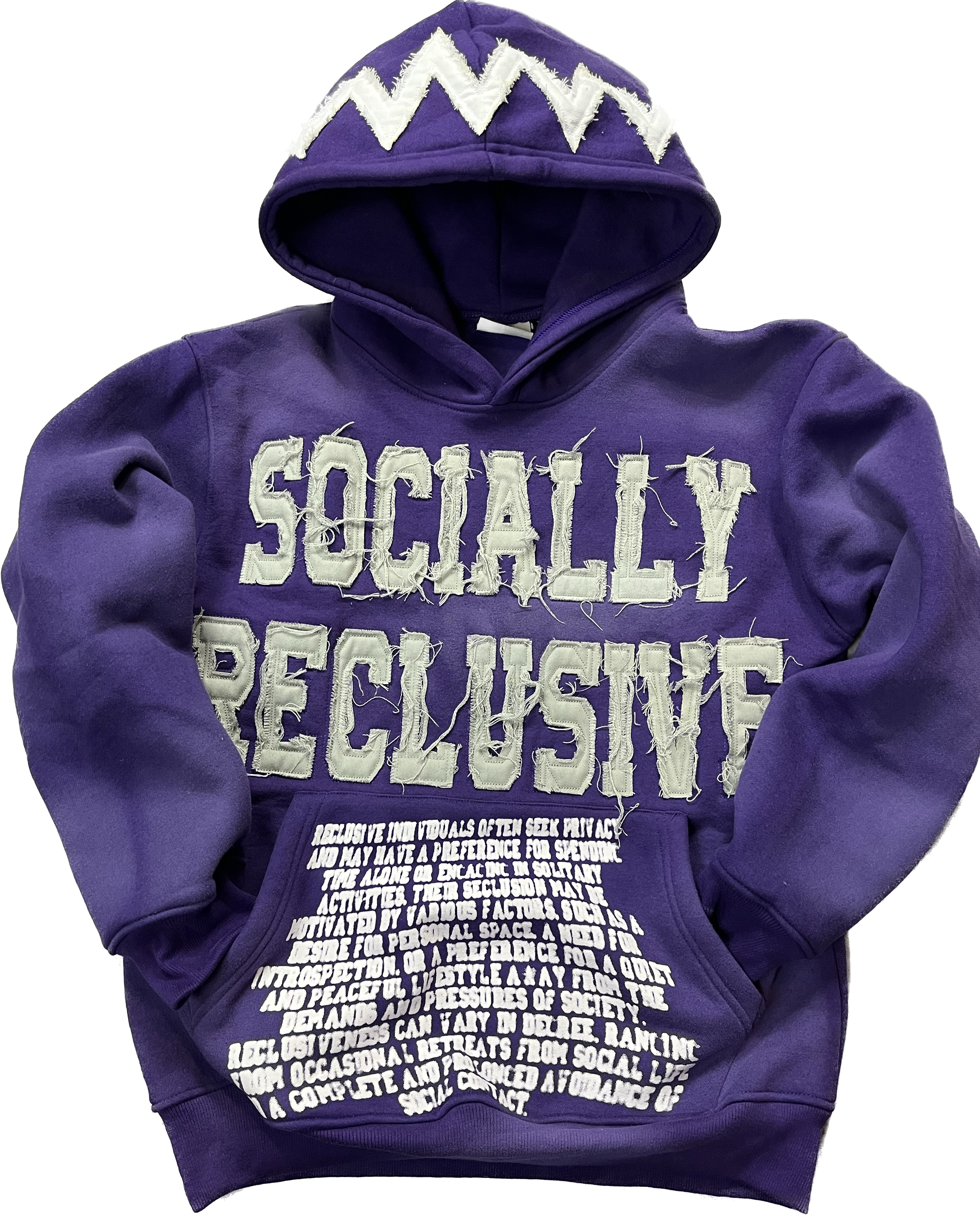 Definition Hoodie (Purple)