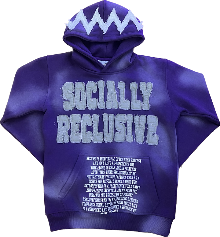 DEFINITION HOODIE(purple)