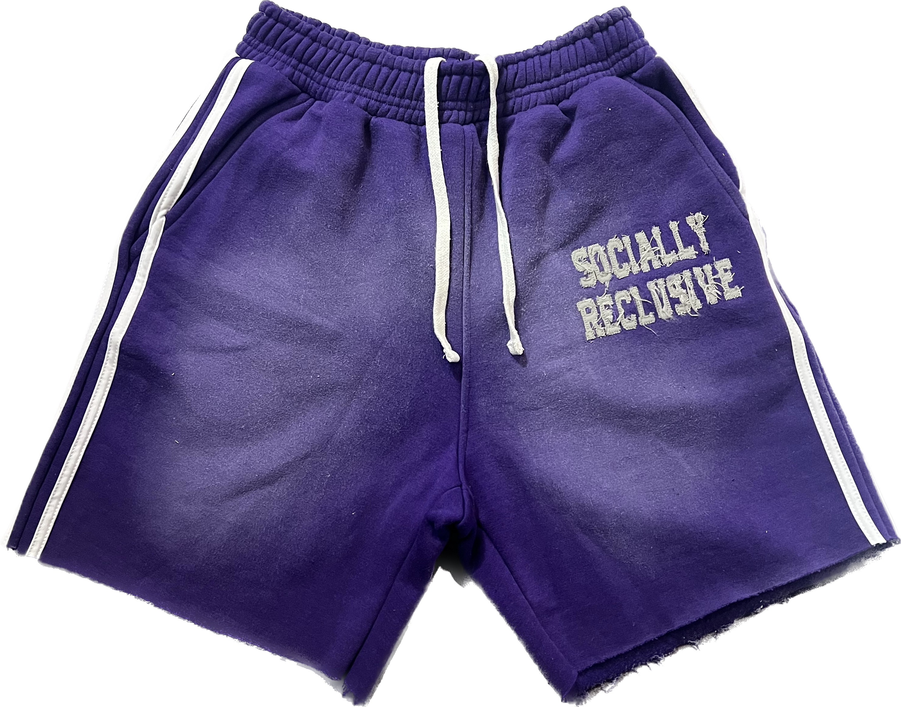 Definition Shorts (Purple)