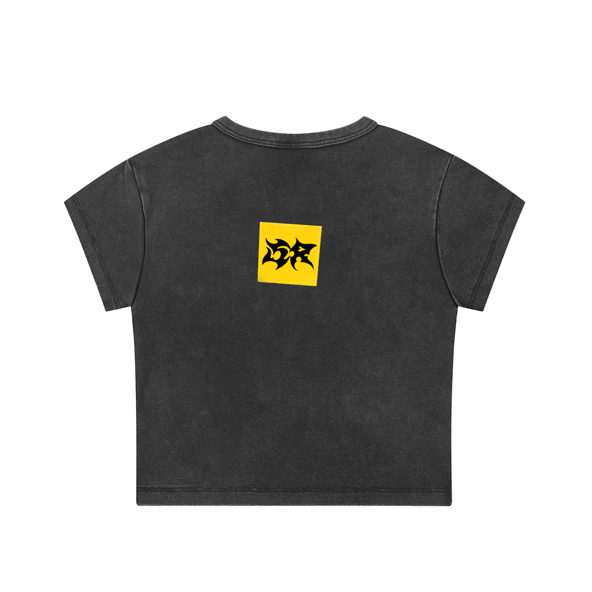 Lil Flex Crop Top (+1 option)