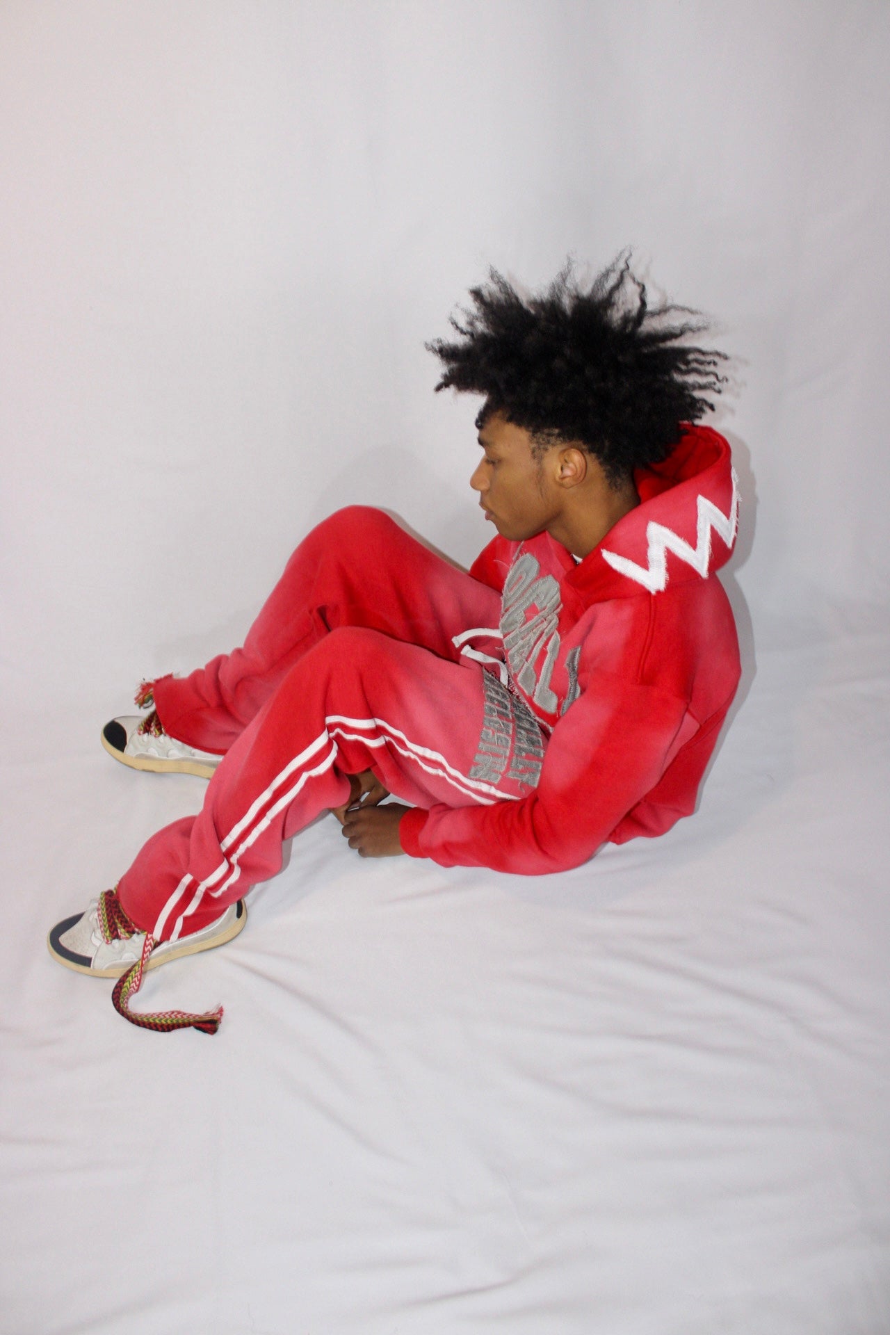 DEFINITION HOODIE(red)