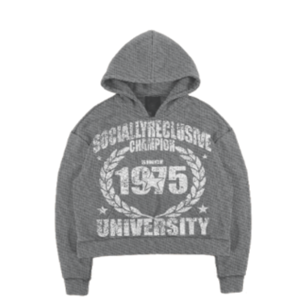 1975 HOODIE (grey)