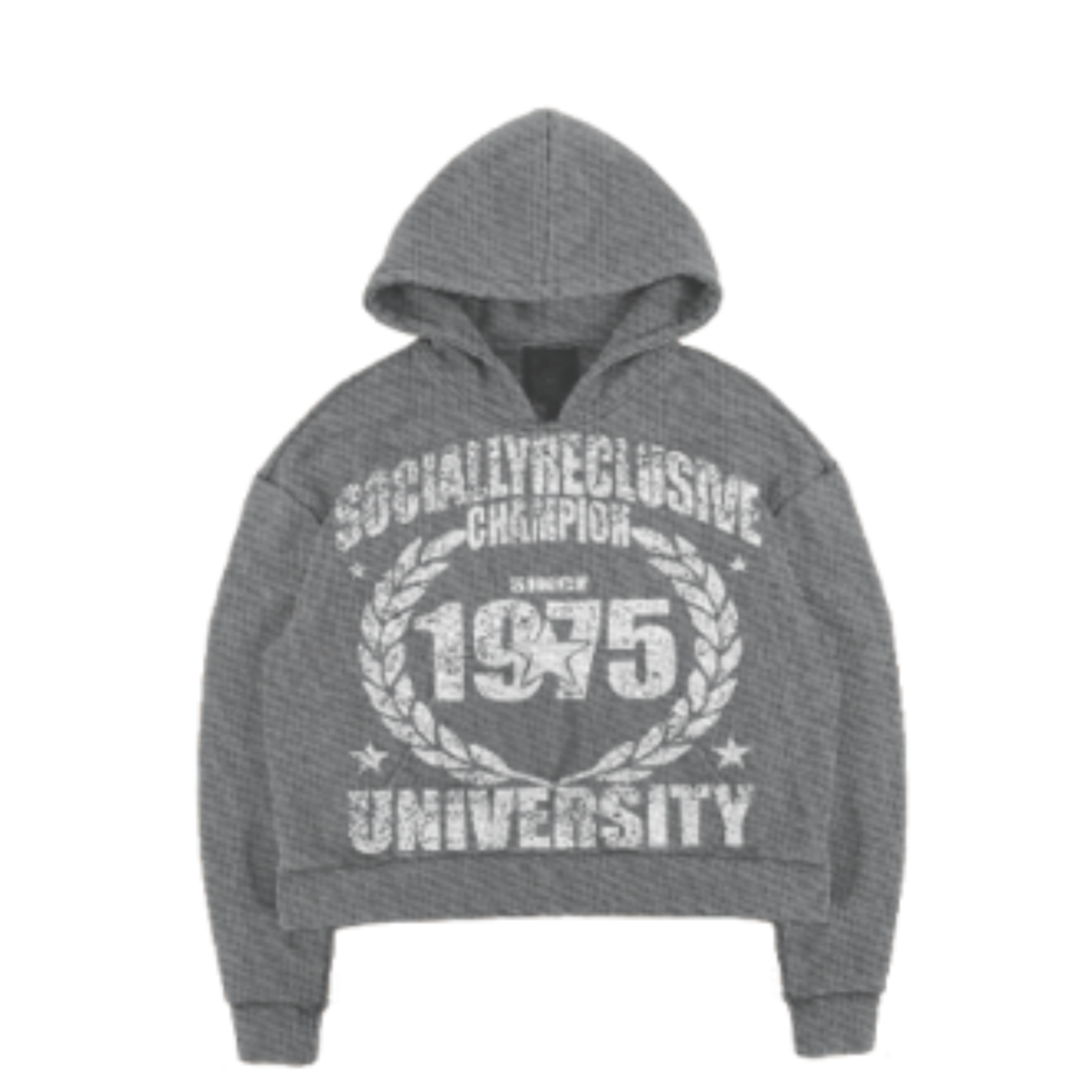 1975 HOODIE (grey)