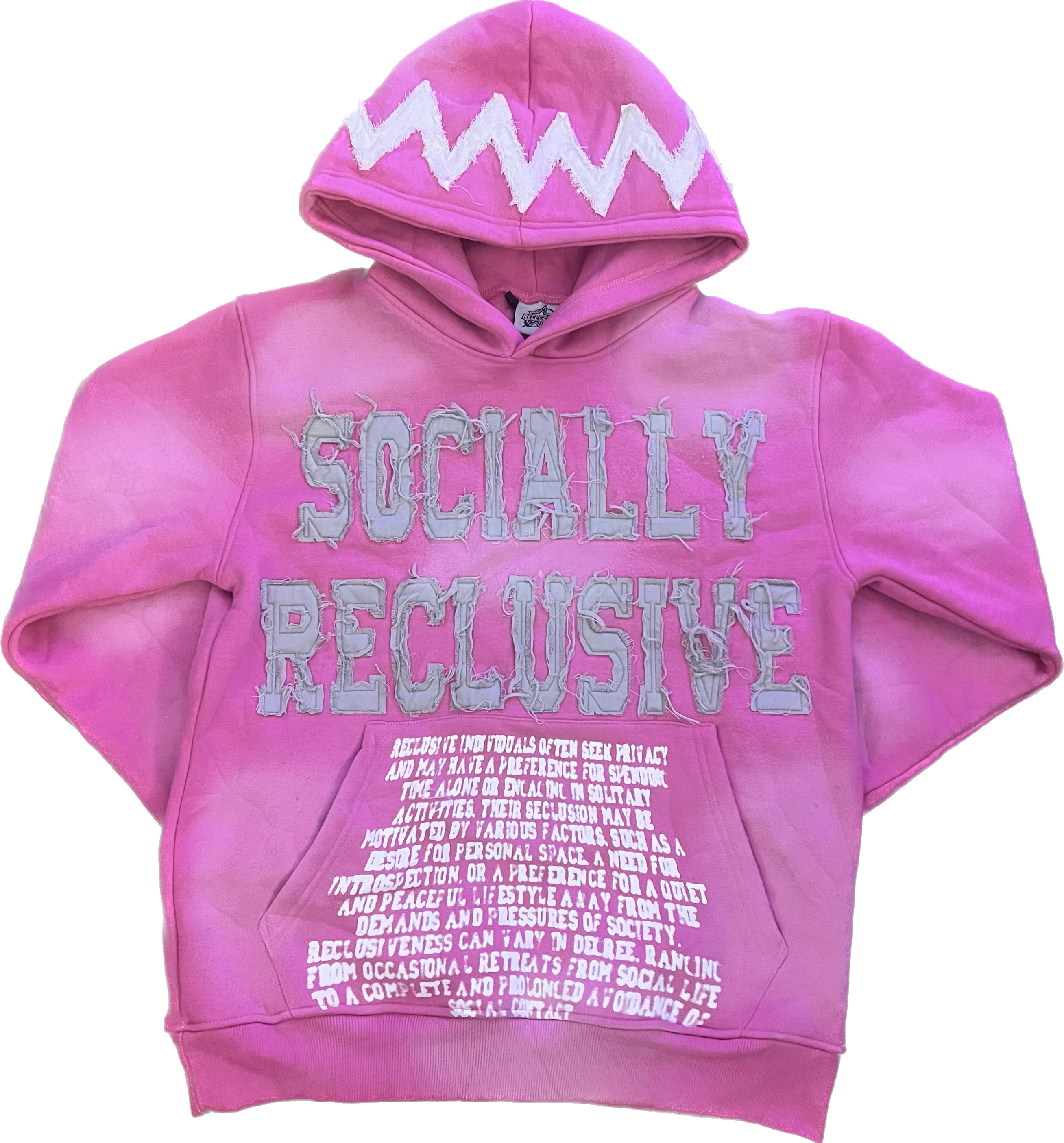 DEFINITION HOODIE (PINK)