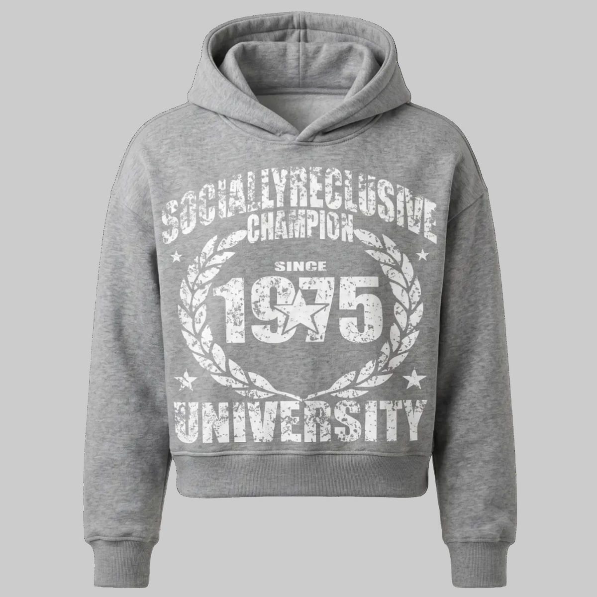 1975 HOODIE (grey)